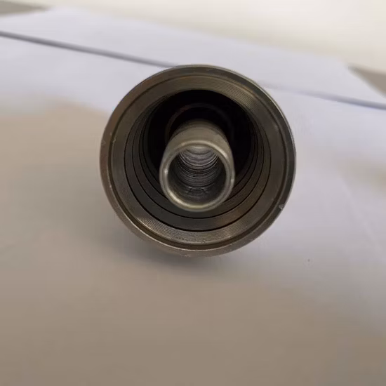 뜨거운 판매 호스 피팅/Ex/Metric/Jic 유압 호스 커넥터